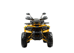 Квадроцикл BISON Track X PRO