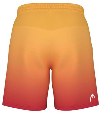 Мужские теннисные шорты Head Power II - разноцветный