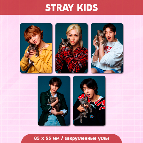 Сет карточек / STRAY KIDS #272