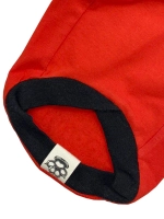 Одежда для собак мелких пород