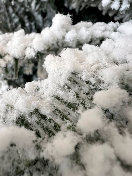 Искусственная ель Монблан 185 см