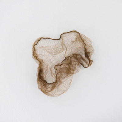 ASS 08-01-01 | Сеточка для укладки волос