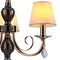 Люстра потолочная ILLUMICO E14  IL5272-3P-27 BK GD