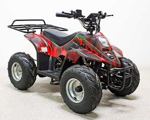 Электроквадроцикл GreenCamel Гоби K70 (36V 800W R7 Дифференциал) фото фото №2