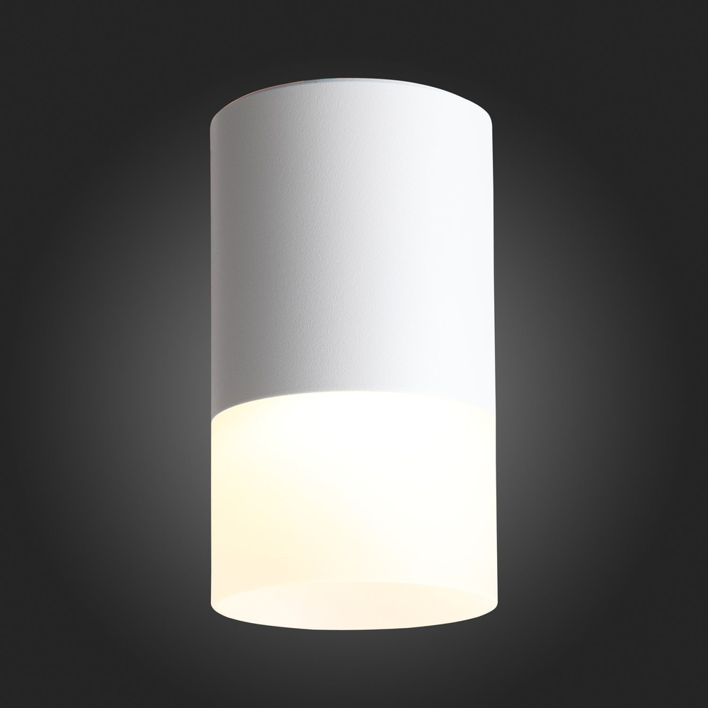 ST100.502.05 Светильник потолочный Белый LED 1*5W 3000K 390Lm Ra&gt;80 120° D64xH110 170-240V Накладные светильники