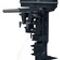 Лодочный мотор POWERTEC Т 30 AMHS 30 л.с. двухтактный