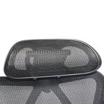 Кресло BRABIX PREMIUM "Axion ER-701", синхромеханизм, регулируемые подголовник и спинка, сетка, черное, 532965