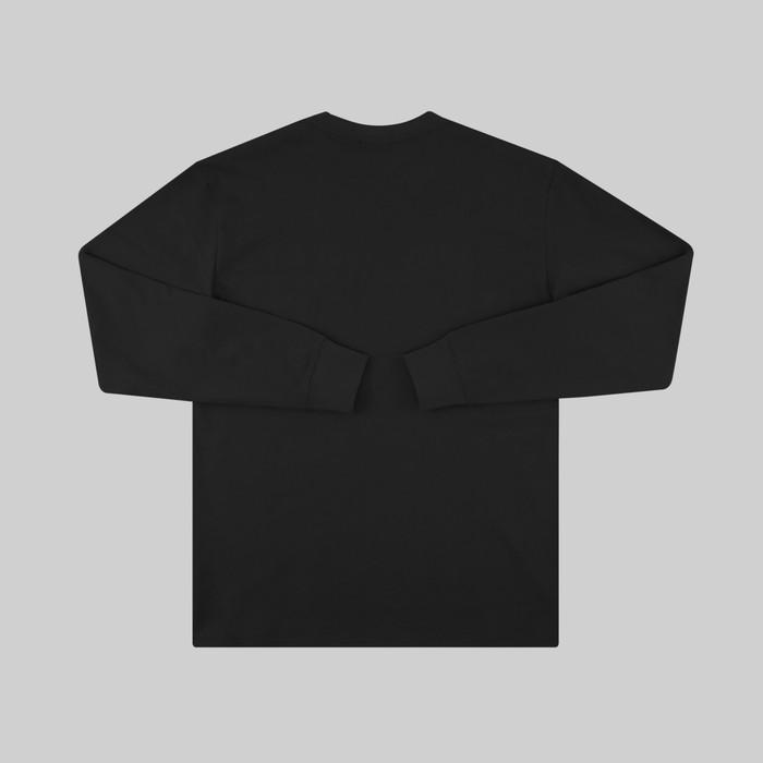 Лонгслив мужской Napapijri S-Morgex артикул:NA4GBT041 - купить в магазине Дайс