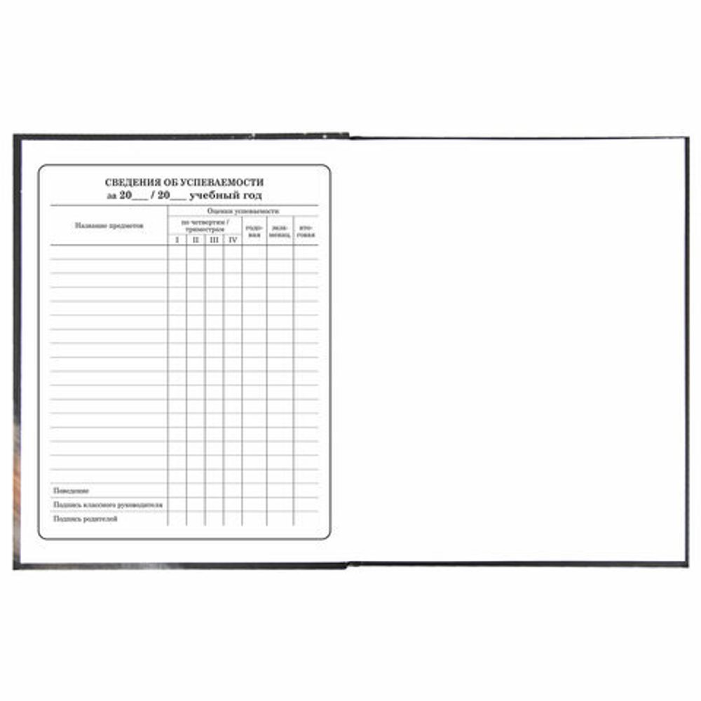 Дневник 1-4 класс 48 л., твердый, BRAUBERG, блестки, с подсказом, "Котик", 106364