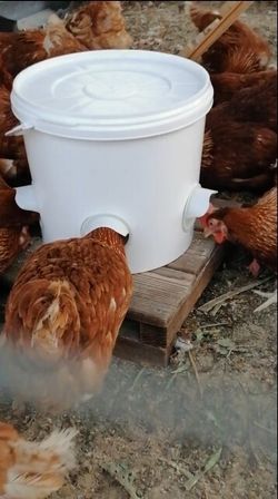 Кормушка - ведро 18 л (5 окон)