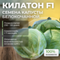 КИЛАТОН F1 семена капусты белокочанной Syngenta купить