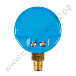 Манометр 25,0 МПа, 1/8 NPT, кислород