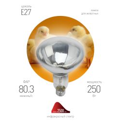 Инфракрасная лампа ЭРА ИКЗ 220-250 R127 для обогрева животных и освещения 220-250 Вт Е27 кратность 1 шт | Инфракрасные лампы