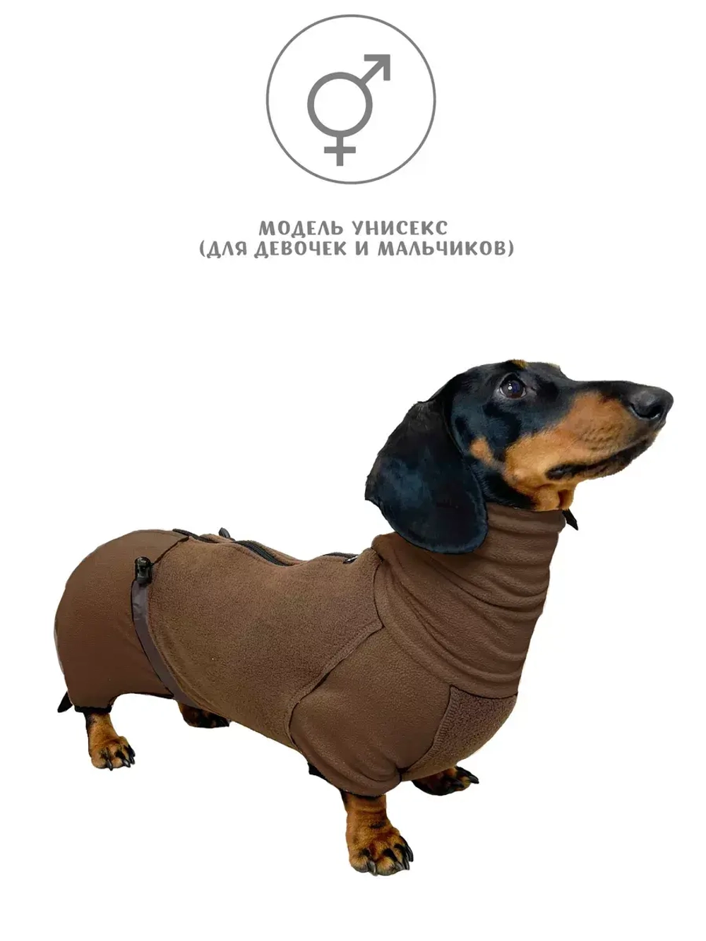 Флисовый комбинезон для таксы весенний