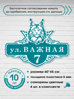 Адресная табличка на дом с котом мейн-куном, 60х45 см.