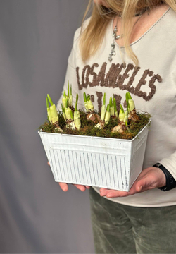 Hot garden offer #05p