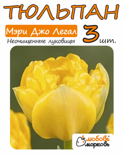 Тюльпан Луковица, Мэри Джо Легал, 3+  шт