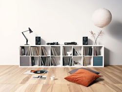 Полочная акустика Dynaudio Emit 10