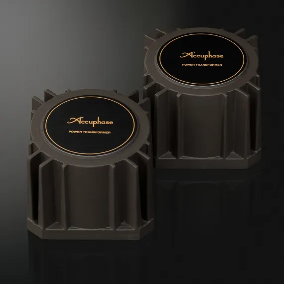 Accuphase DC-1000 Gold