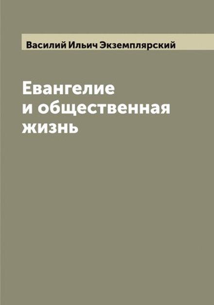 Евангелие и общественная жизнь | Василий Ильич Экземплярский