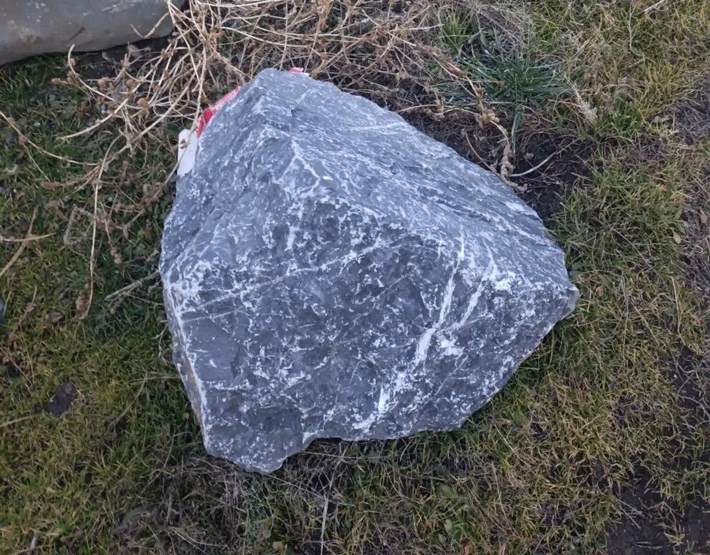 Валуны в наличии. Отметьте на фото понравившиеся и мы их привезём.