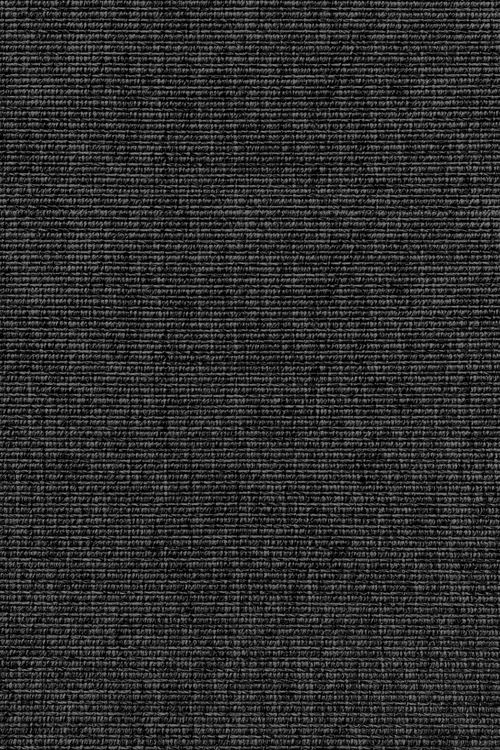 Ковровое покрытие AW Invictus Levinus 99A