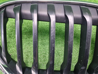 Решетка радиатора BMW X1 F48 (2019-2022)