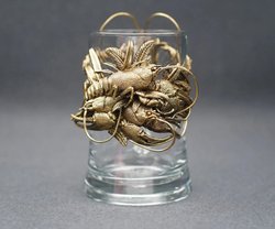 Кружка для пива «Раки»