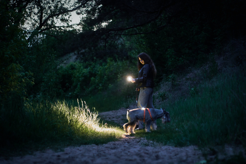 Фонарь Armytek Wizard C2 Pro Magnet USB White (F08701C)