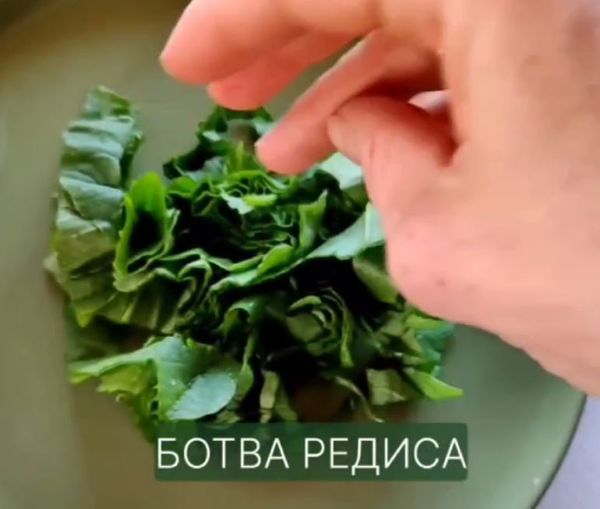 Способ формирования нейронных цепочек