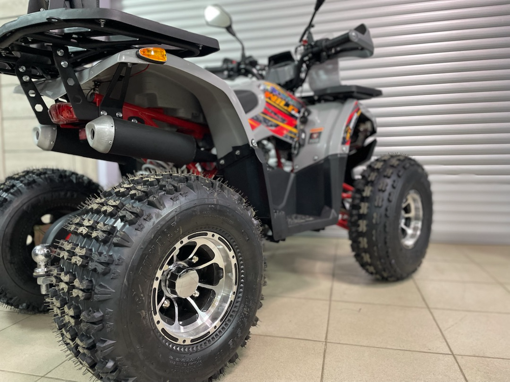 Квадроцикл PROMAX WILD 2.0 190 PRO (2025)