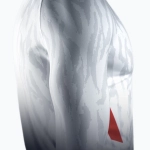 Рашгард Hayabusa Apex white/coral