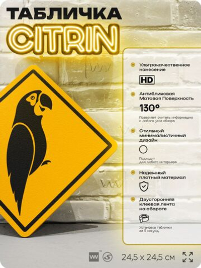 Табличка прикольная "Осторожно, попугай" на дверь и стену, информационная и предупреждающая, декоративный знак, 24,5х24,5 см, пластиковая, Айдентика Технолоджи