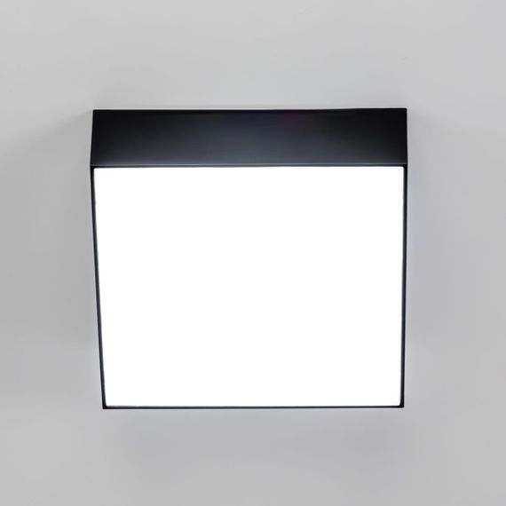 Накладной светодиодный светильник Citilux Тао CL712X122N