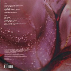 Tortusa / Bre (LP)