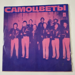 Винтажная виниловая пластинка LP ВИА Самоцветы (СССР 1980) Мой Адрес Советский Союз (Misspress) (Два одинаковых пятачка)