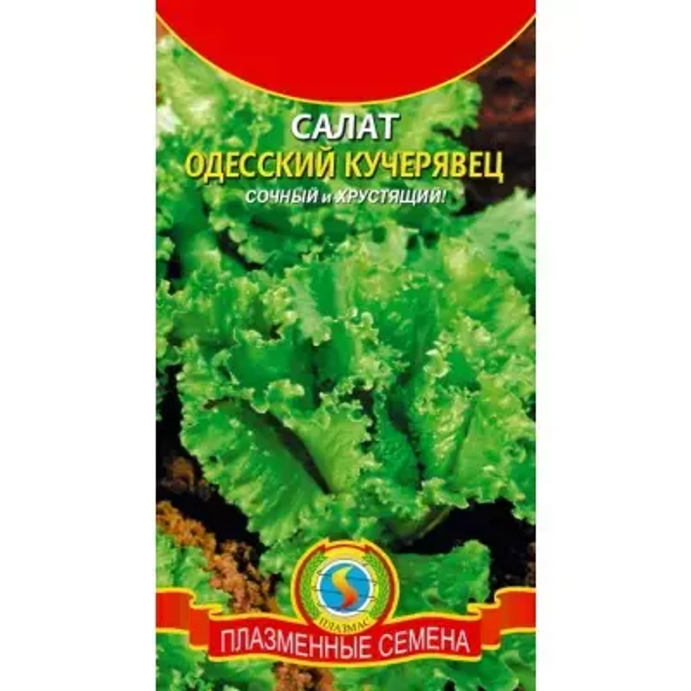 Салат семена зеленый