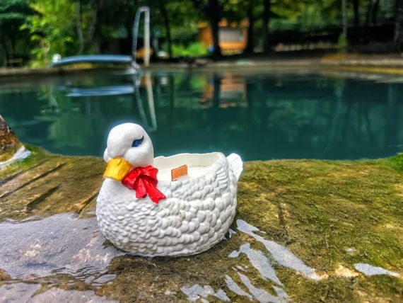 Lake Duck Collection