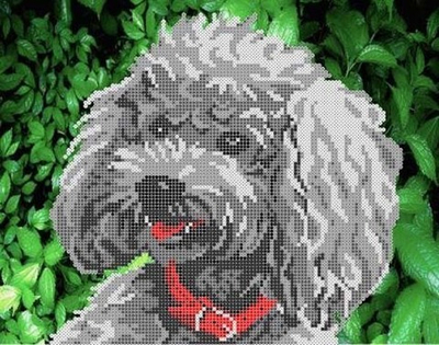 Г-1056 Пудель