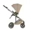 Коляска ANEX Eli 3 в 1 Gato