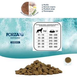 Сухой корм Forza 10 Maintenance Medium Pesce для собак средних пород с рыбой