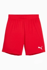 Шорты Puma teamGOAL Junior - красный