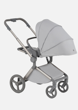 Anex Детская коляска Flo 2 в 1 Frossy