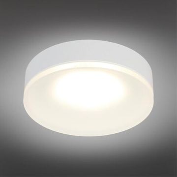 Светильник встраиваемый-накладной OML-102909-01