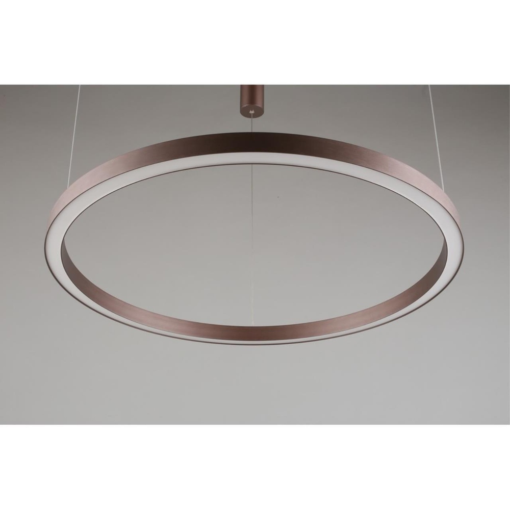 Подвесная светодиодная люстра Aployt Nisia APL.025.03.60