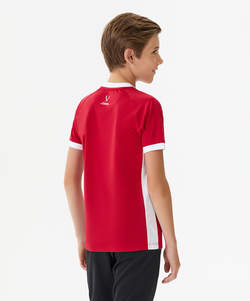 Футболка игровая DIVISION PerFormDRY Element Jersey, красный