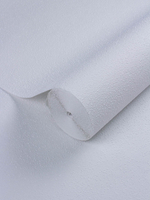 Rasch 1.06 m*25 177423 Wallton