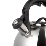 Чайник 3,1л нерж со свистком, 937-035