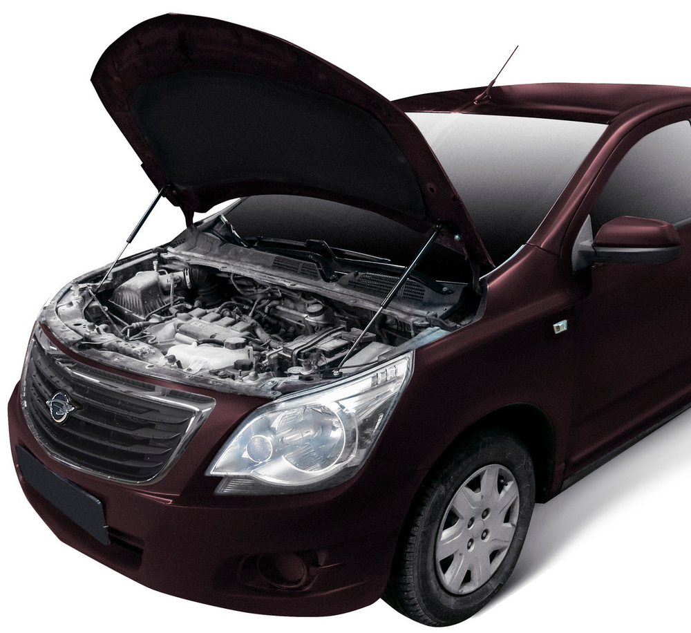 Упоры капота для Ravon R4 2016-2020, 2 шт., URAR4011