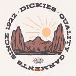  Футболка мужская Dickies Outdoor артикул:DK0A4Z8PC481 - купить в магазине Дайс